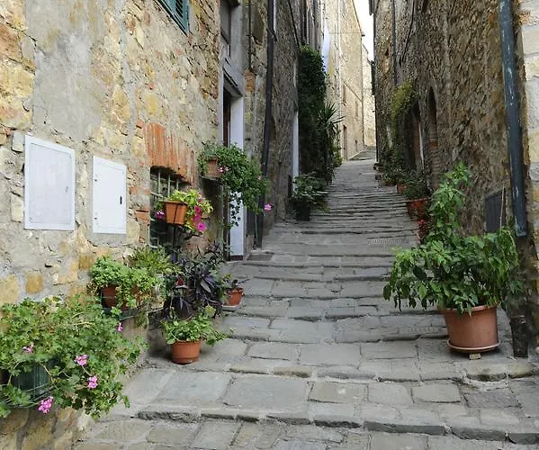 Daire Il Merlo Monteverdi Marittimo